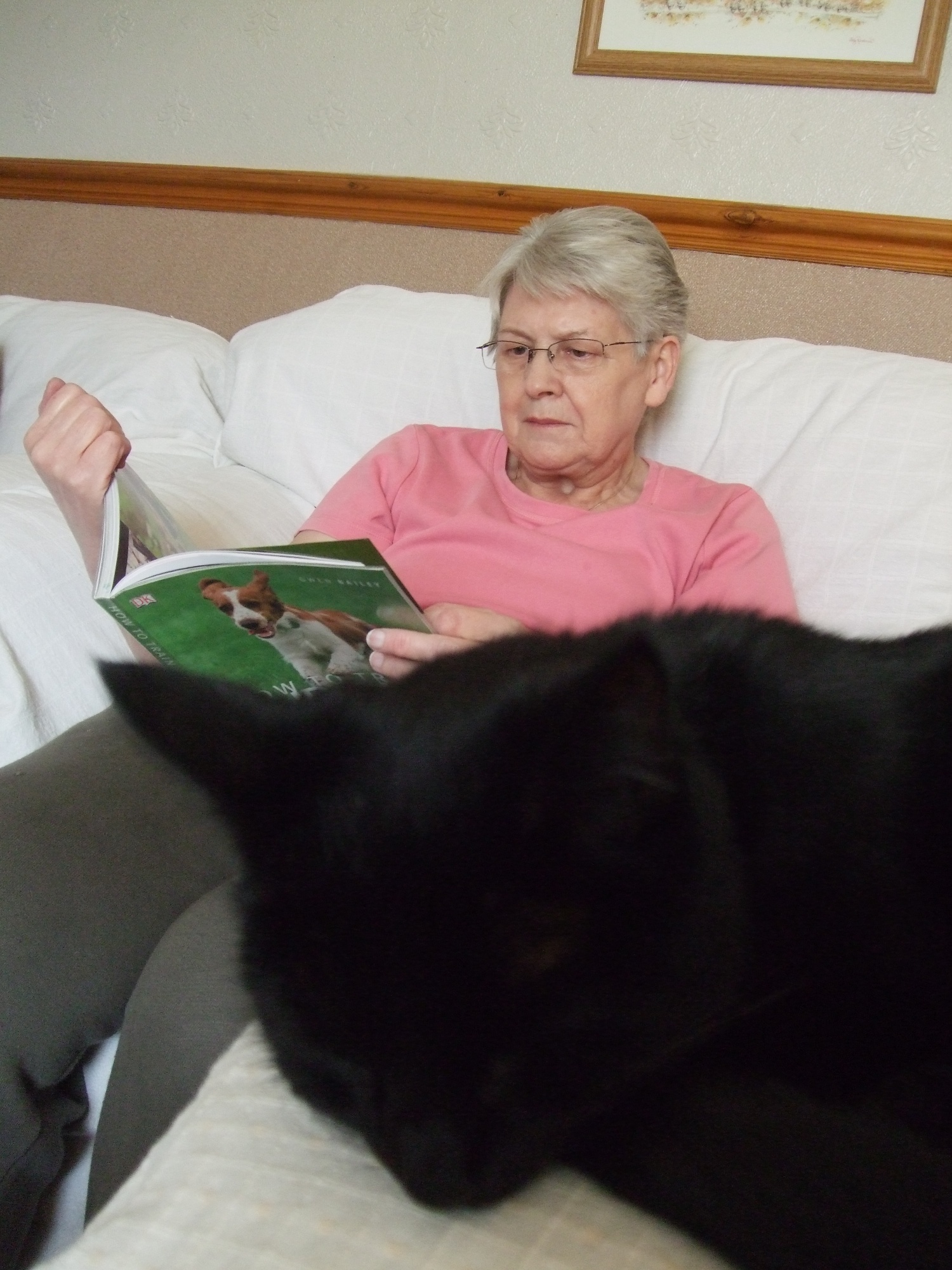 #2 20th April 2010 How to Care for Dogs (and a cat)